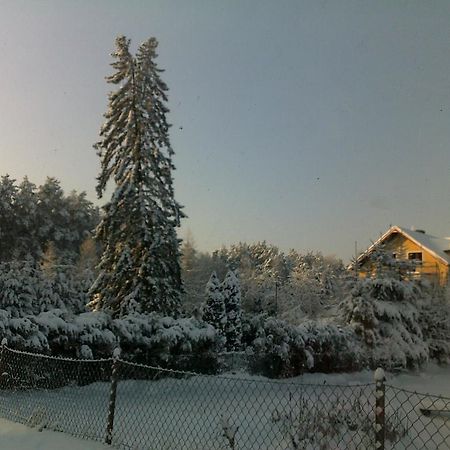 Gosciniec Nad Stawem Villa Szczytno  Buitenkant foto