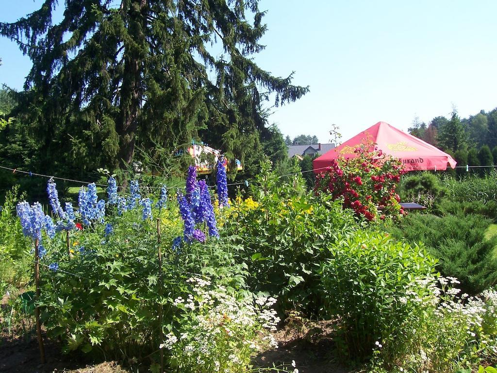 Gosciniec Nad Stawem Villa Szczytno  Buitenkant foto